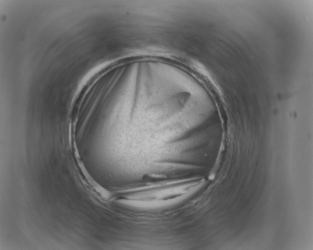 X0000083571320200702231619