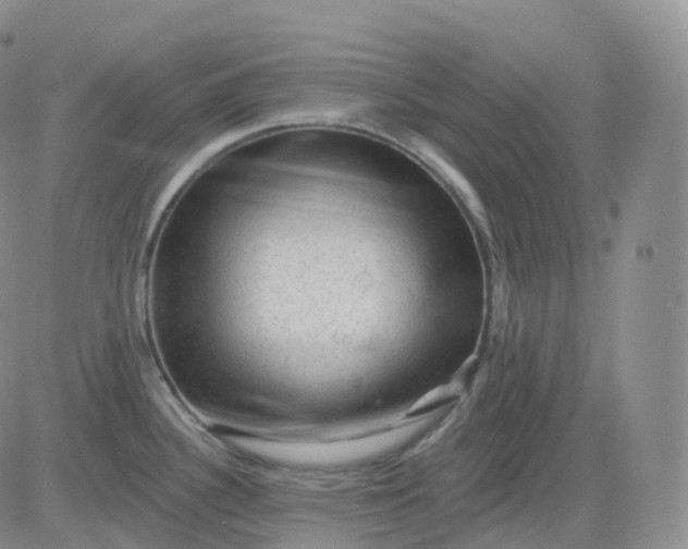 X0000083571340200702231620
