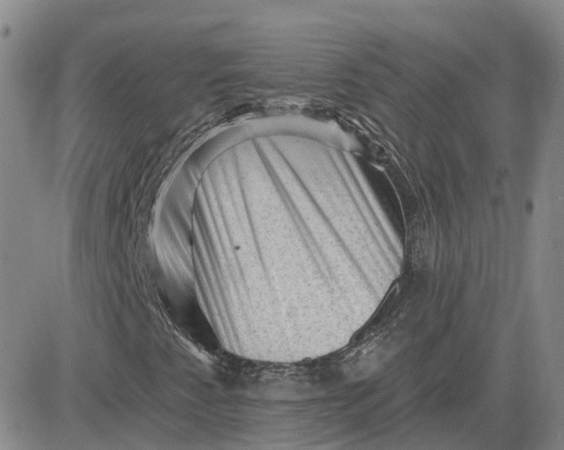 X0000083571345200702231619