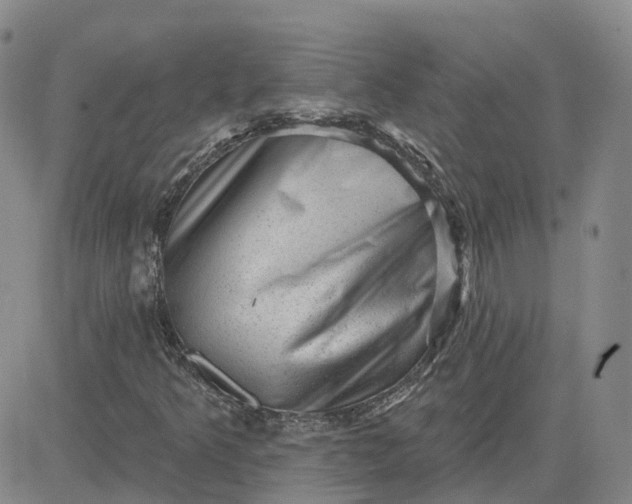 X0000083571349200702231619