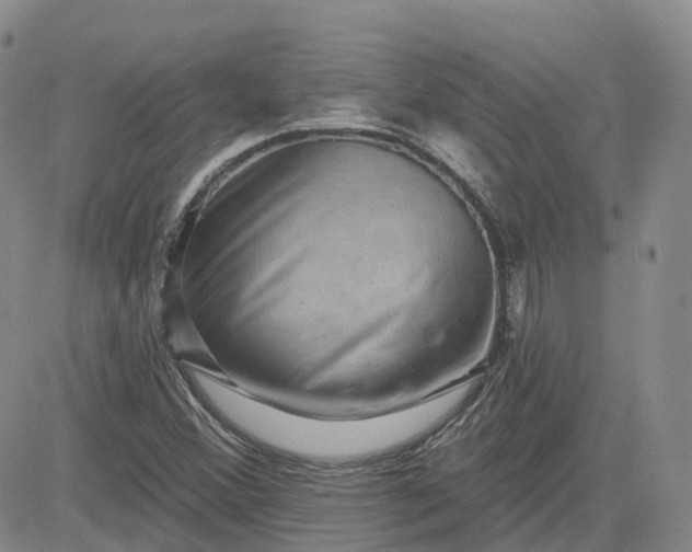 X0000083571356200702231619