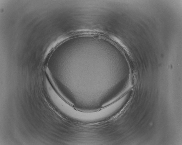 X0000083571357200702231619