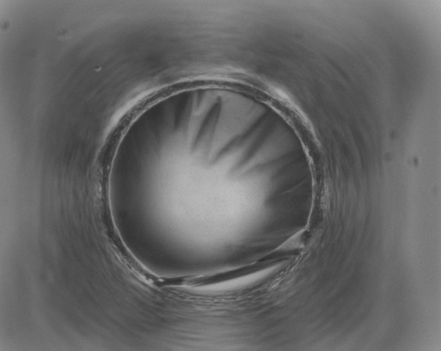 X0000083571360200702231619