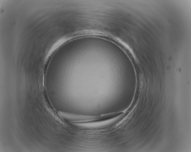 X0000083571365200702231619