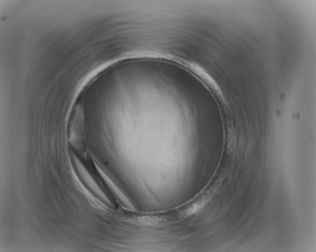 X0000083571380200702231618