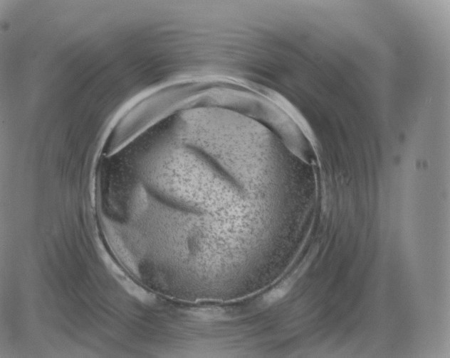 X0000083571388200702231618