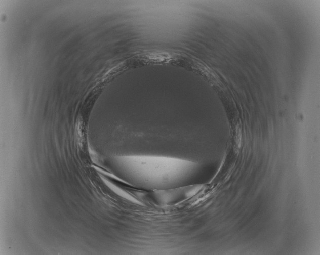 X0000083571394200702231617
