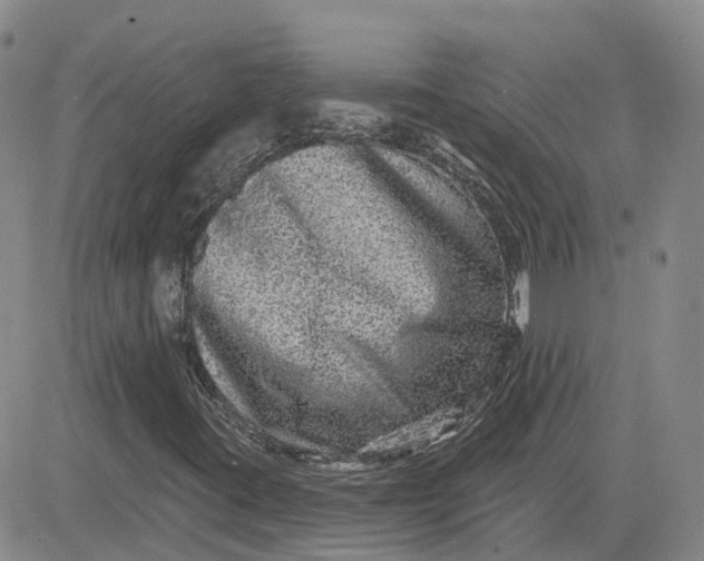 X0000083571395200702231617