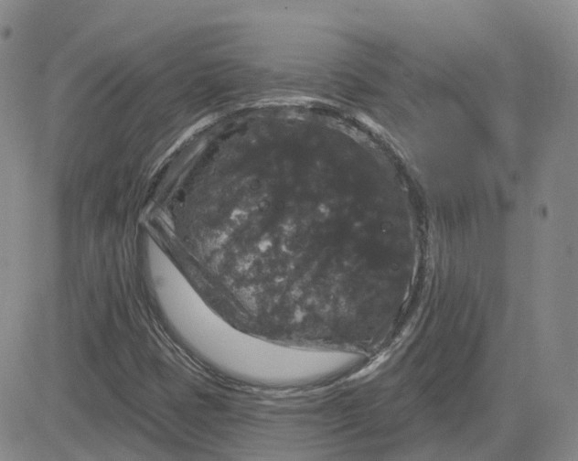 X0000083571401200702231617