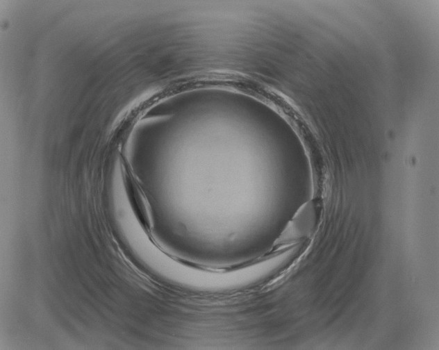X0000083571402200702231617