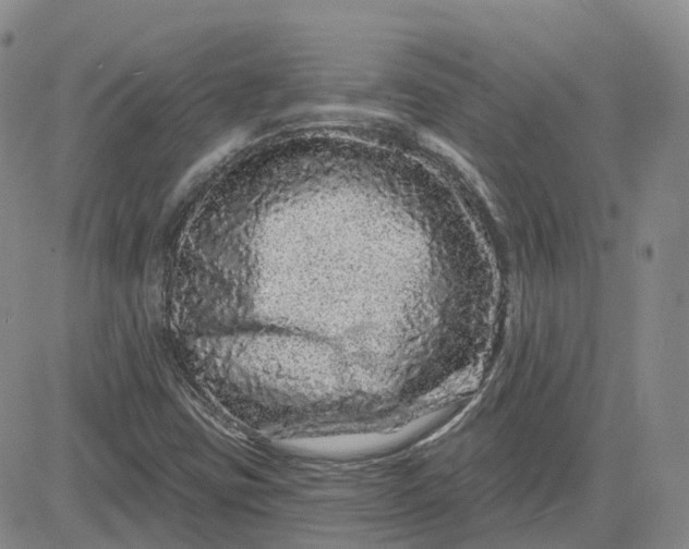 X0000083571403200702231617