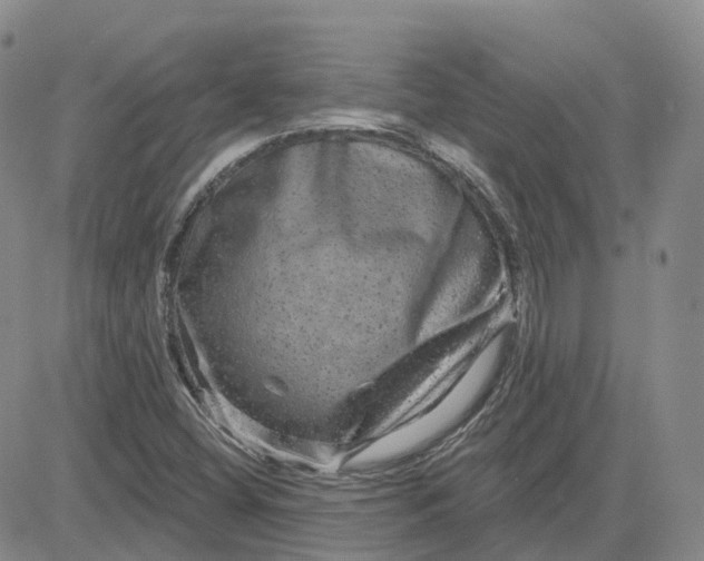 X0000083571404200702231617