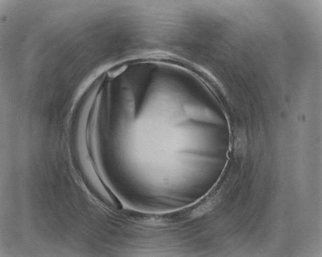 X0000083571414200702231618