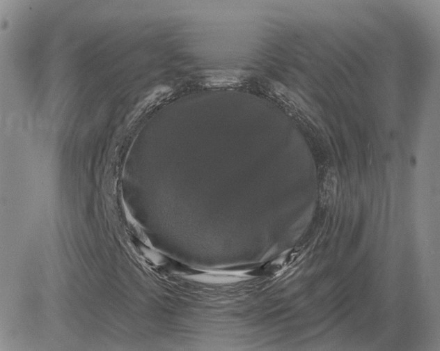 X0000083571441200702231617