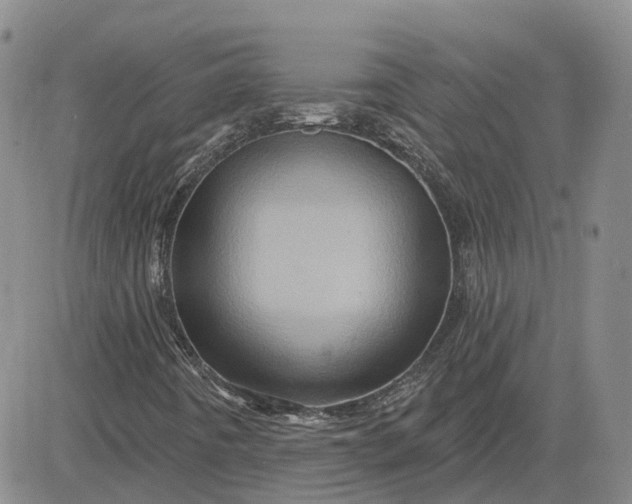 X0000083571442200702231617