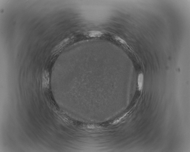 X0000083571443200702231617