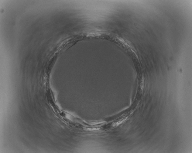 X0000083571445200702231617