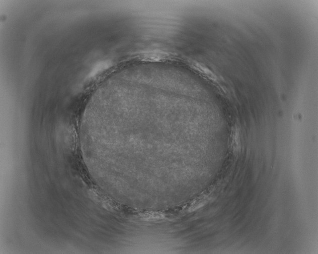 X0000083571446200702231617