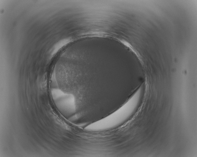 X0000083571450200702231617