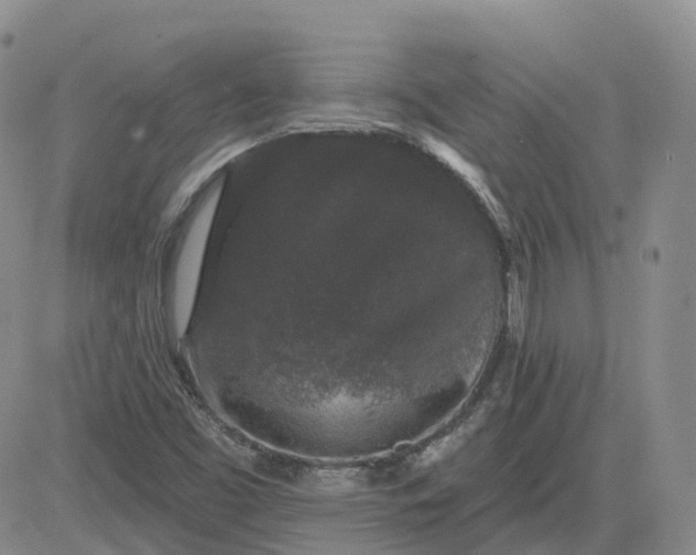 X0000083571453200702231617