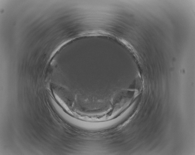 X0000083571457200702231617