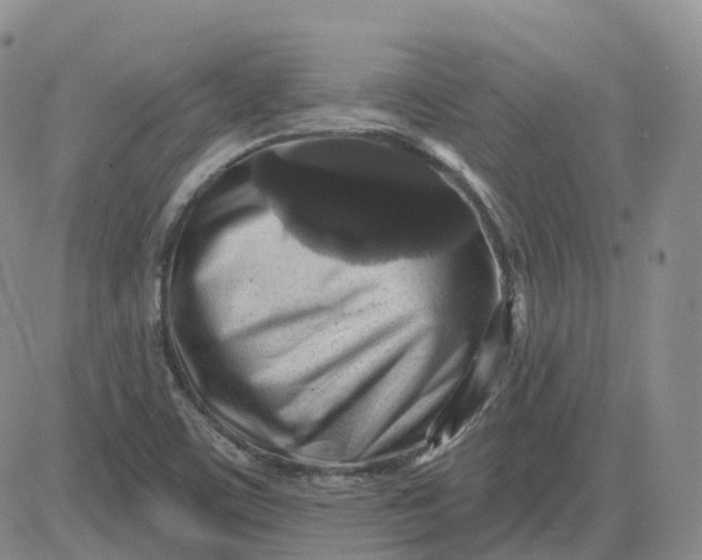 X0000083571459200702231617