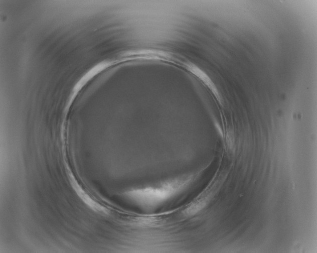 X0000083571482200702231617