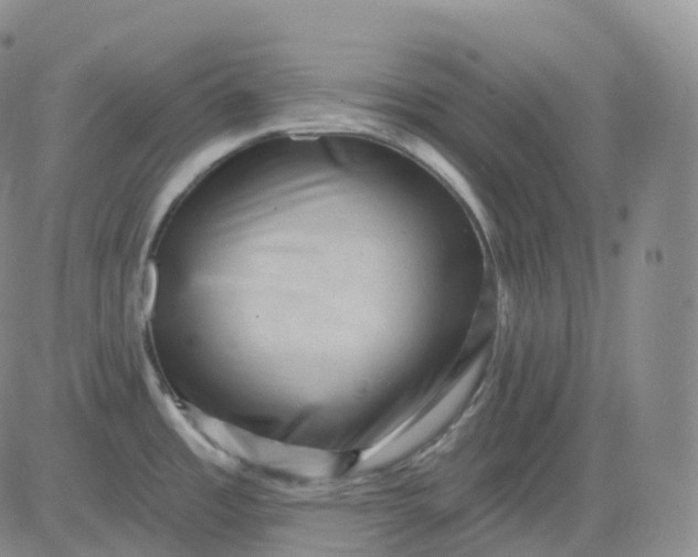 X0000083571485200702231617