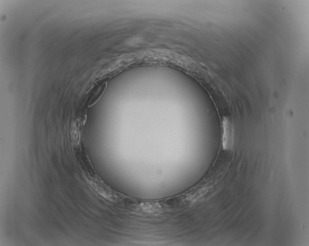 X0000083571491200702231616