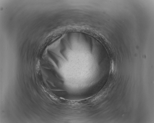 X0000083571492200702231616