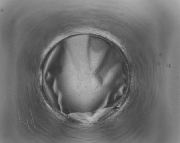 X0000083571509200702231616