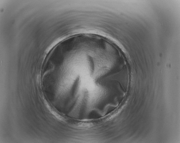 X0000083571513200702231616