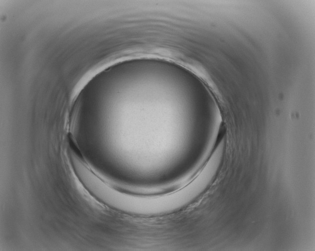 X0000083571524200702231616