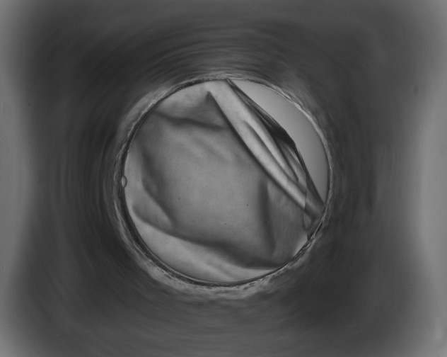 X0000083570001200703021800