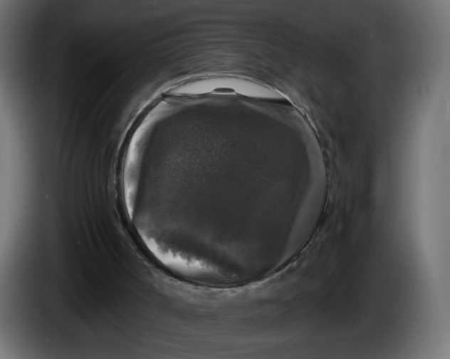 X0000083570002200703021800