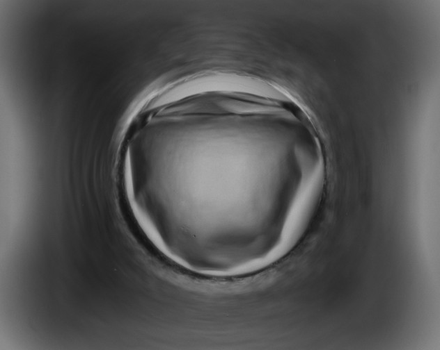 X0000083570007200703021759