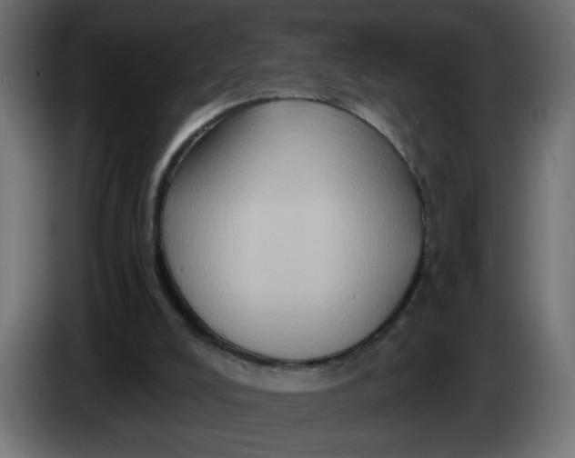X0000083570008200703021759