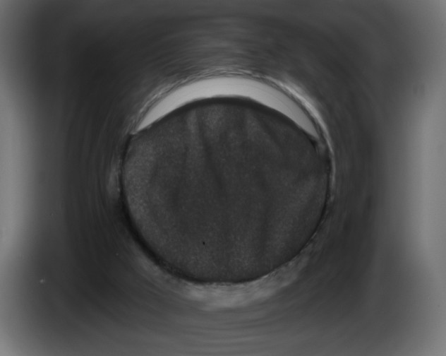 X0000083570009200703021759