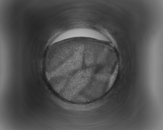 X0000083570010200703021759
