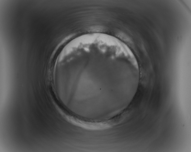 X0000083570012200703021759
