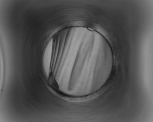 X0000083570013200703021759