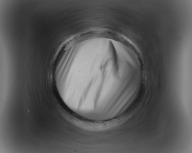 X0000083570015200703021759