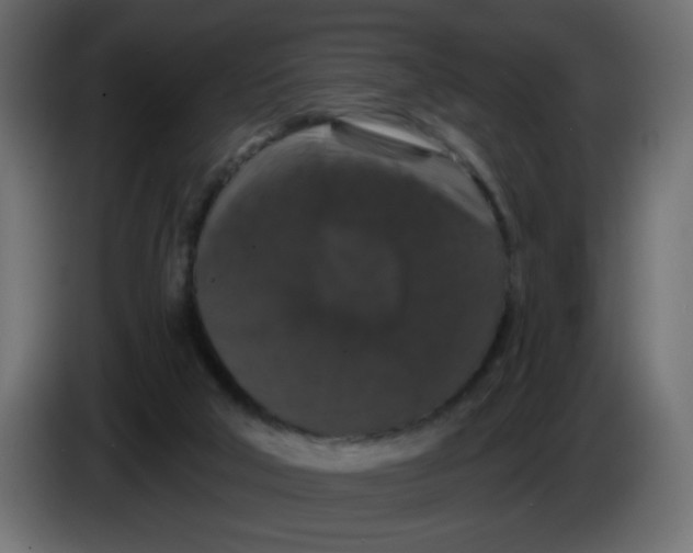 X0000083570018200703021759