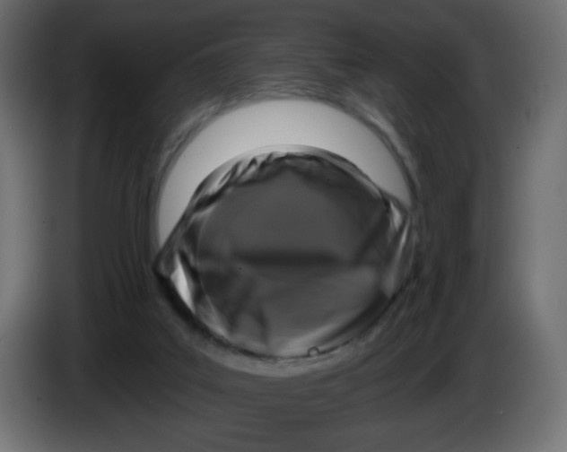 X0000083570019200703021759