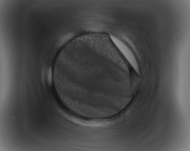 X0000083570020200703021759