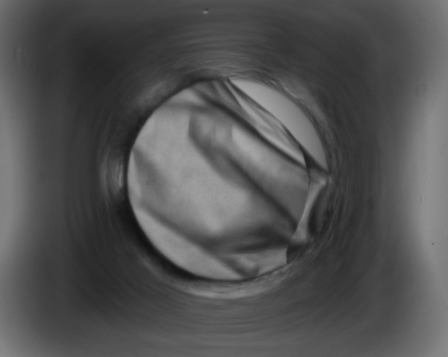 X0000083570021200703021759