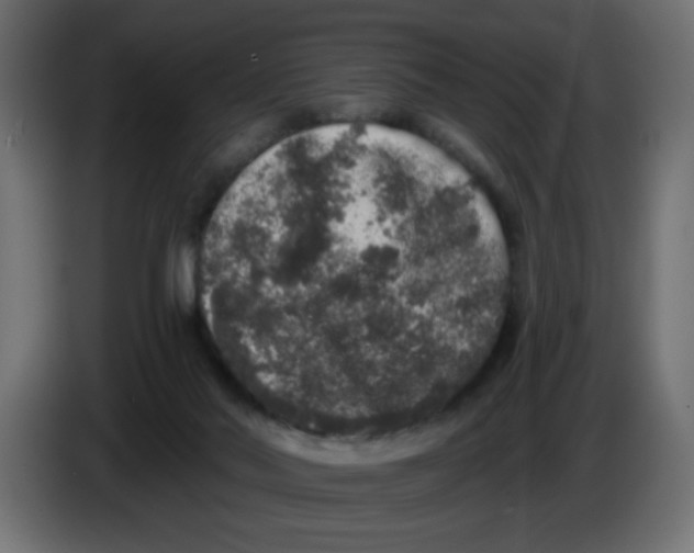X0000083570022200703021759