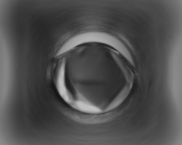 X0000083570023200703021759