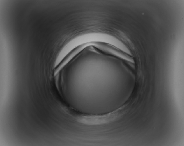 X0000083570025200703021759