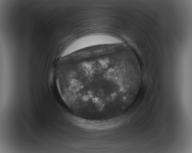X0000083570026200703021759